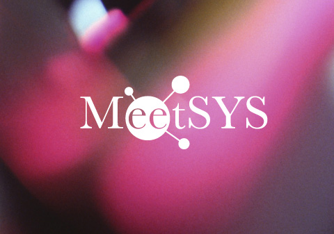 mosaique-meetsys